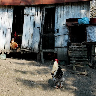 ... de la pleinair-ul din România, martie 2016