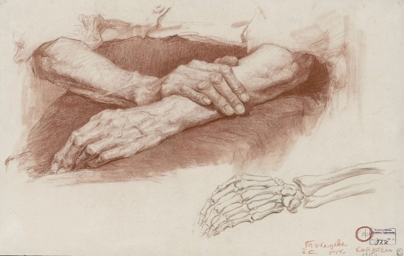 "Desen. Gips, cap, mâini și picioare" by Aleksandra Feliksovna Tokareva