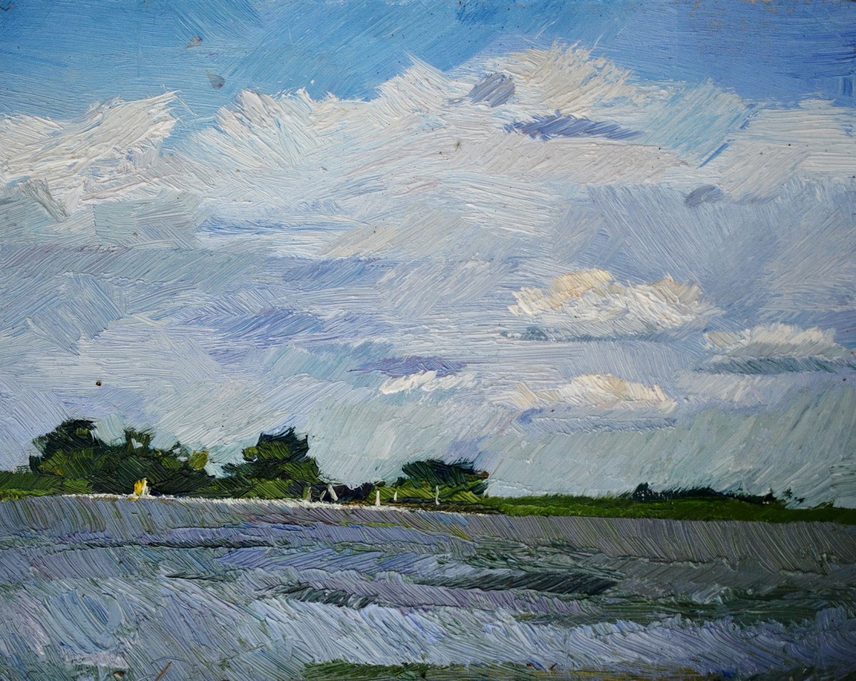 "Nori. Oxentea" by Dumitrița Znaida, 2017, 400x500mm, oil on canvas