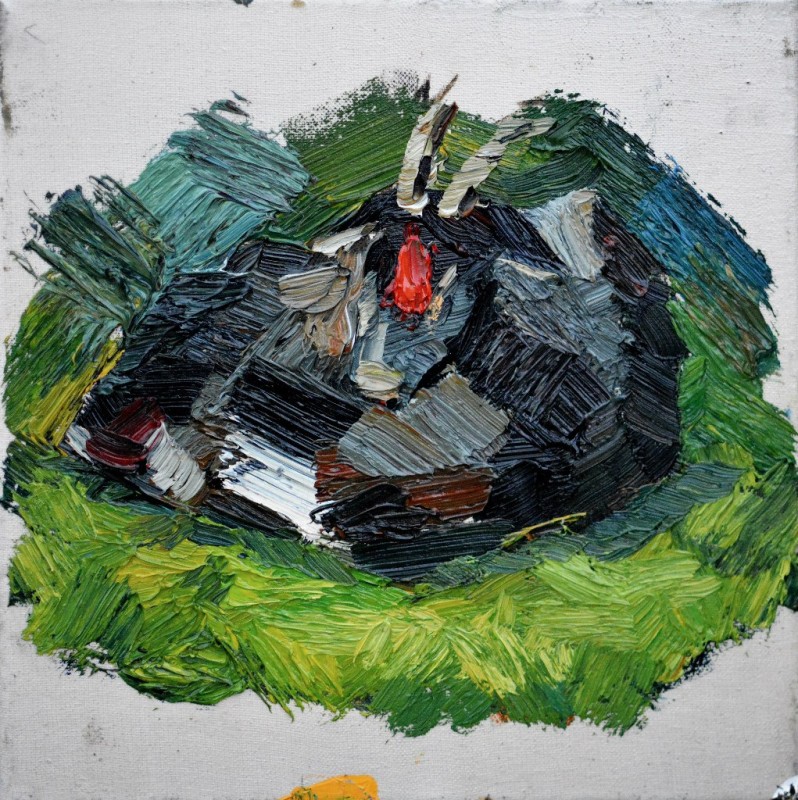"Studiu. Curcan" by Ion Țoncu, 2016, oil on canvas