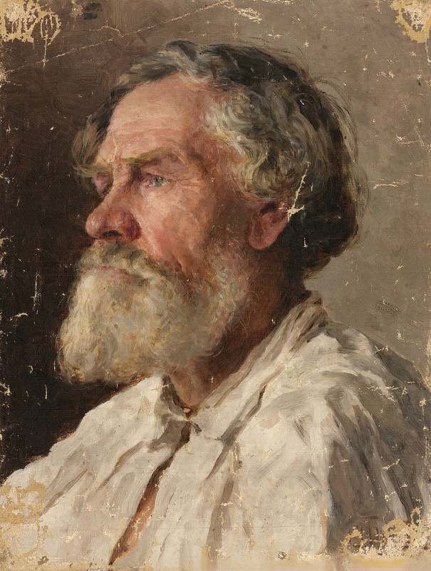 "Живопись. Портрет" by Николаи Василиевич Розанов