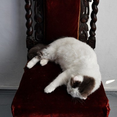 Мастерская. Урок рисования. 12 января 2017 г.