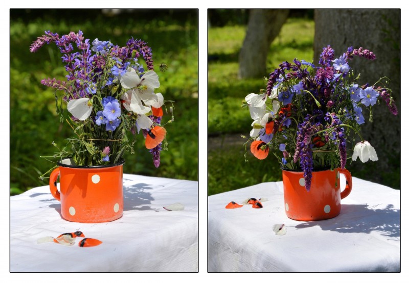 ... начало летнего пленэра / 8-й, 10-й и 11-й кл. /