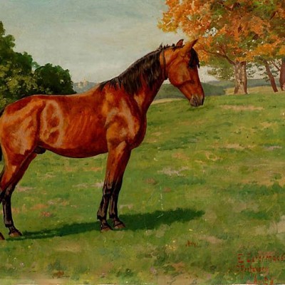 Ernst Ludwig Ostermayer