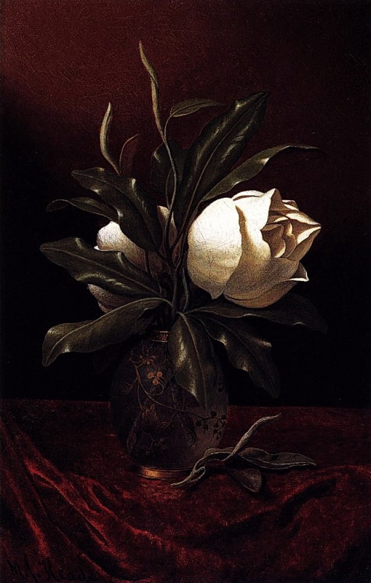"Pictură. Flori" by Martin Johnson Heade