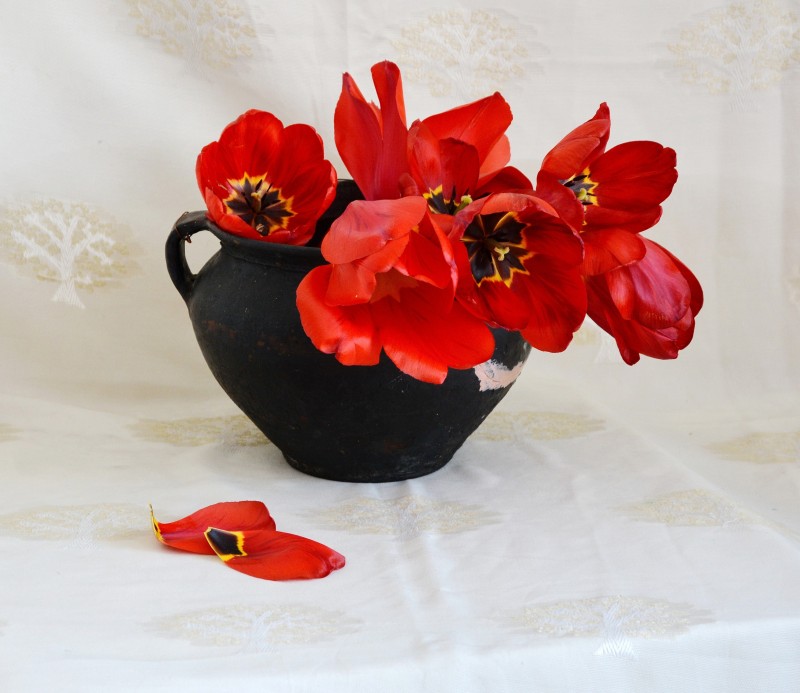 ... în ateliere / mai 2021 /