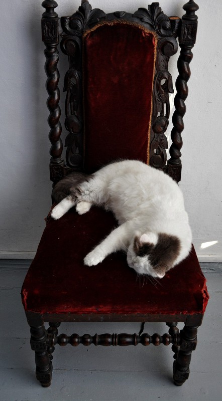 Atelier. Lecție de pictură. 12 ianuarie 2017