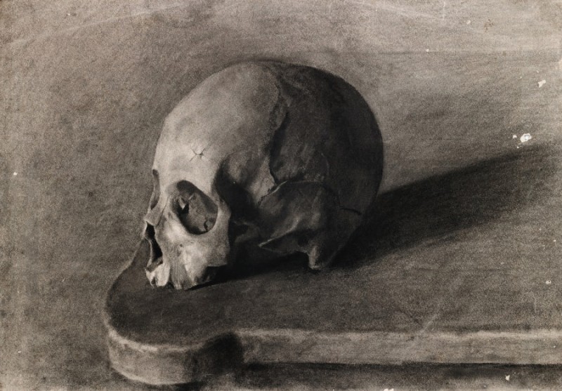 "Drawing. Gypsum, head, hands, feet" by 19 th. -