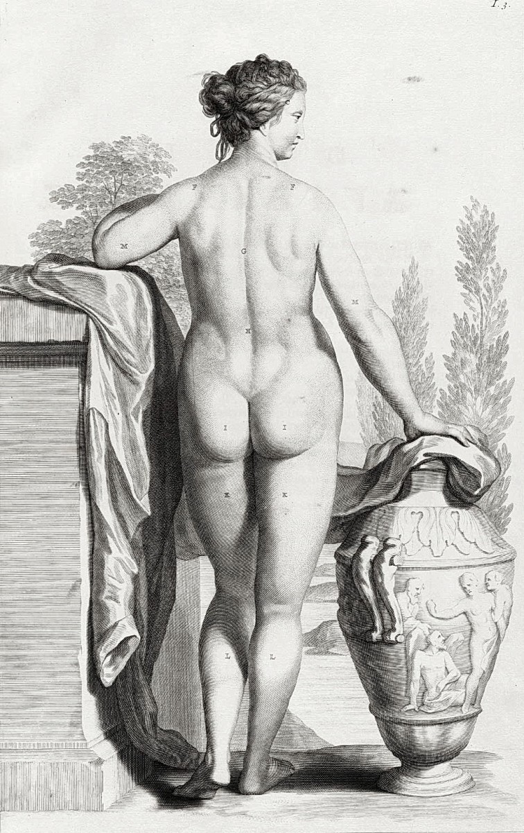 "Desen. Nud" by Govert Bidloo