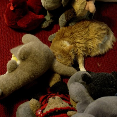 Мастерская Анатолия Гимпу