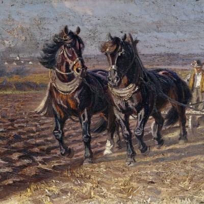 Friedrich Eckenfelder